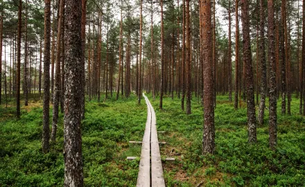 0c0b989903b2f05e14f938fc57036428